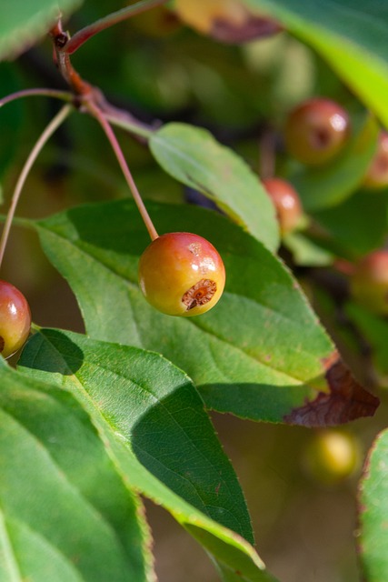 展示了一个 展示了一个