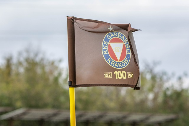 球队可以发 球队可以发