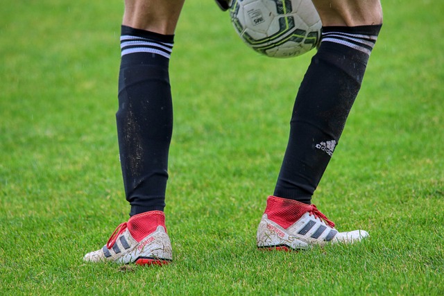 他曾执教过 他曾执教过