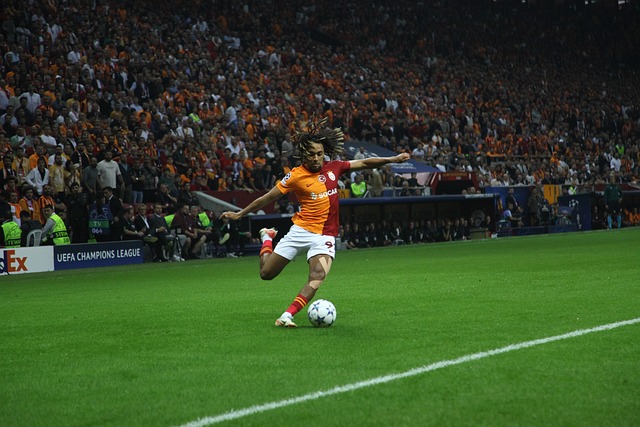 受尊敬的足 受尊敬的足