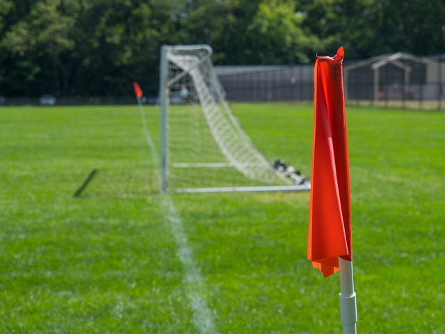 能期待更多 能期待更多