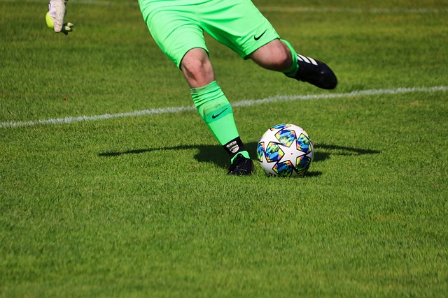 新的活力 新的活力