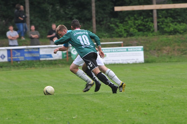 丝看到了何 丝看到了何