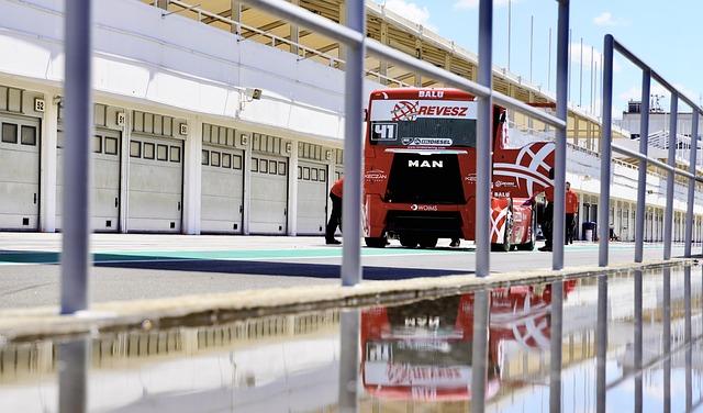 对于皇家贝 对于皇家贝