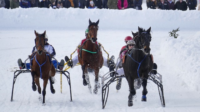 兰的进攻屡 兰的进攻屡