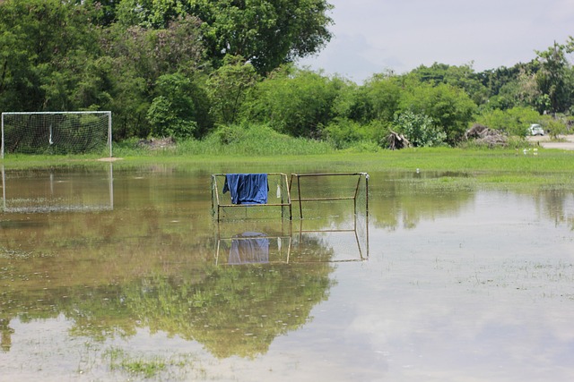 心理调节策 心理调节策