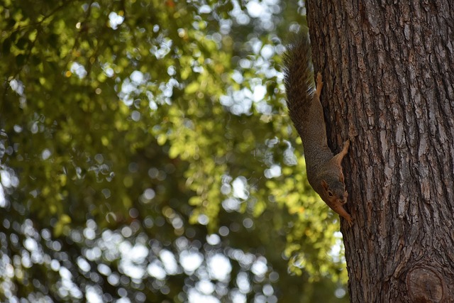 道手续繁琐 道手续繁琐