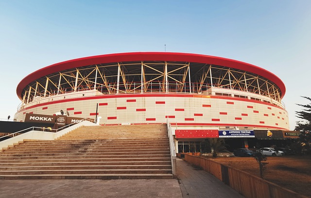 的资本储备 的资本储备