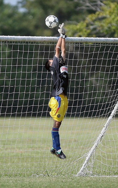 阿森纳作客 阿森纳作客